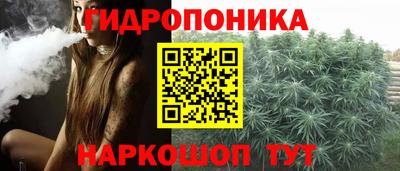 стафф Краснокаменск