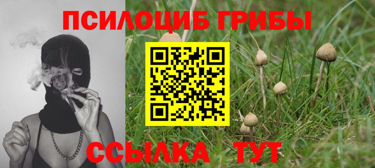 Зима  Псилоцибиновые грибы Psilocybe  Вход с VPN  цены   Галлюциногенные грибы Cubensis 